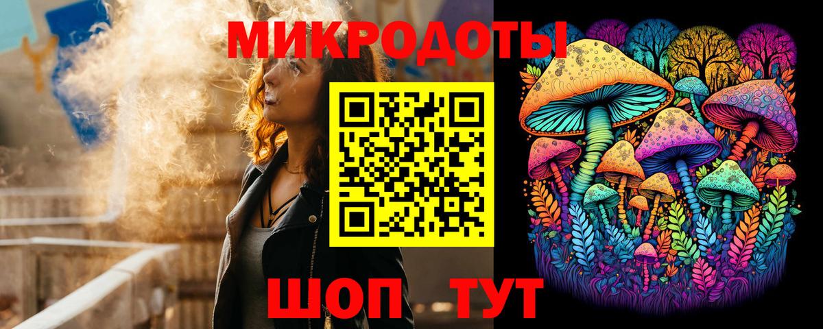 Псилоцибиновые грибы Psilocybine cubensis Кизляр