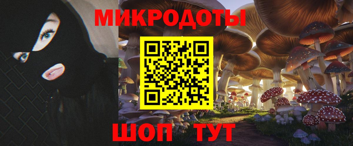 Псилоцибиновые грибы MAGIC MUSHROOMS  Вход с VPN  Кизляр 